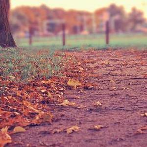 家族でお出かけ、楽しみだね！