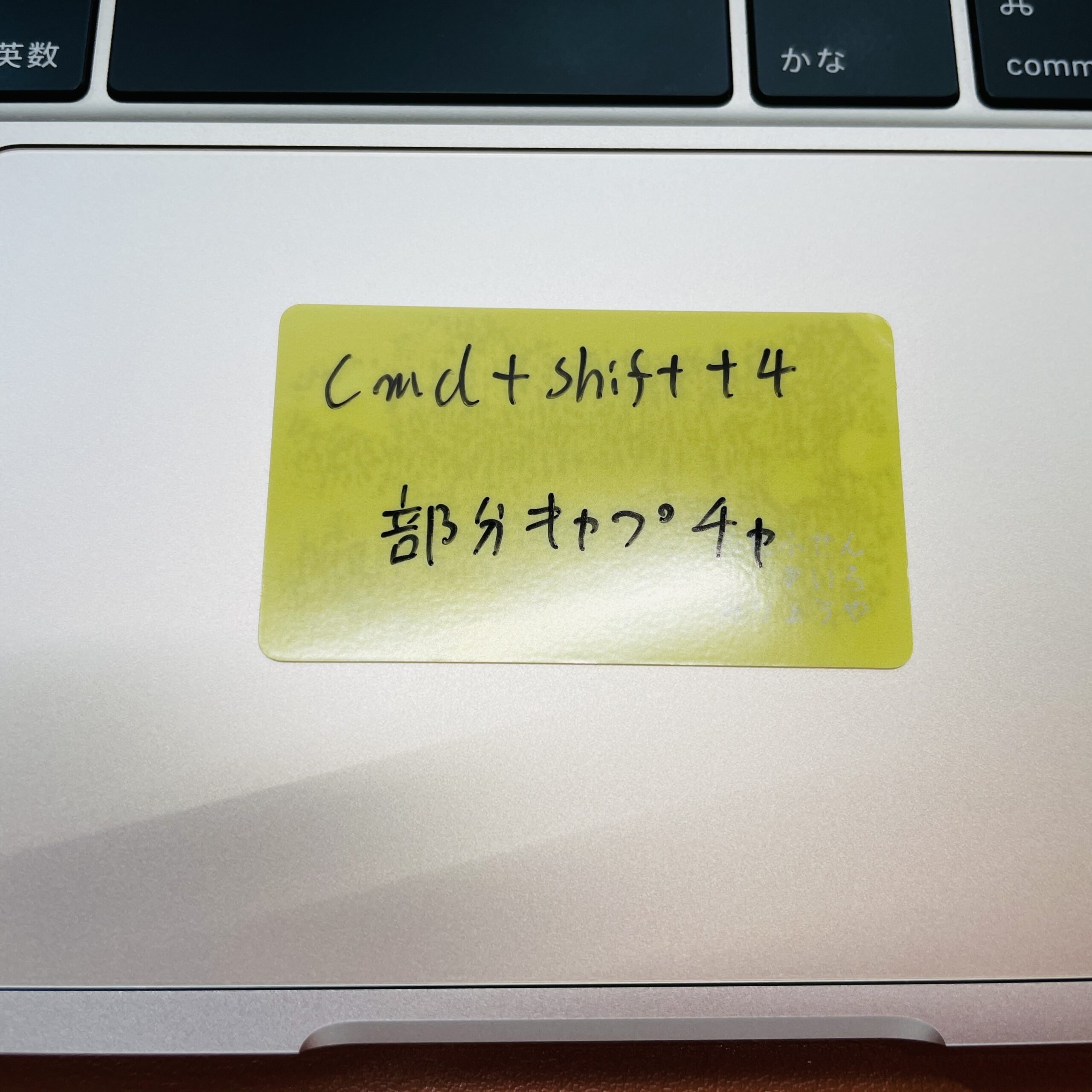 基本の4色セット